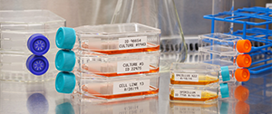 Lean Lab Kennzeichnung