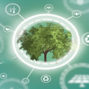 Bioprozessierung Bioprozessierung