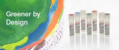 Greener Shipping: Ambient Advantage for Invitrogen Antibodies