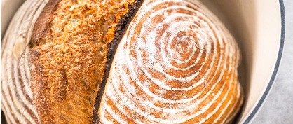 Fermentation Fundamentals: The Science of Sourdough Bread Fermentation Fundamentals: The Science of Sourdough Bread