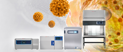 Erfolgreiche Gentherapieanwendungen, wenn die Reproduzierbarkeit von Experimenten entscheidend ist