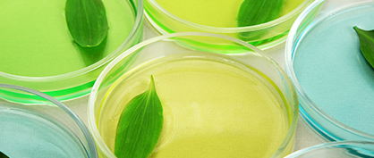 Vier praktikable Möglichkeiten, der Nachhaltigkeit in Ihrem Labor Priorität einzuräumen