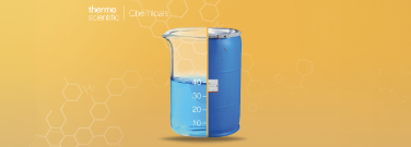 Custom and Bulk Chemical Service Capabilities Custom and Bulk Chemical Service Capabilities